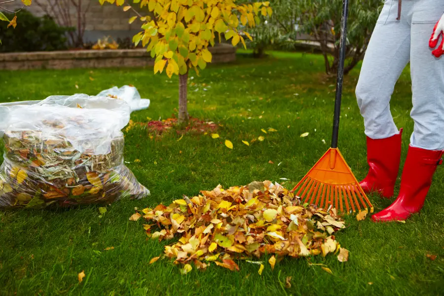 Reliable Yard Trash Removal Fairborn, OH Reliable Yard Trash Removal Fairborn, OH