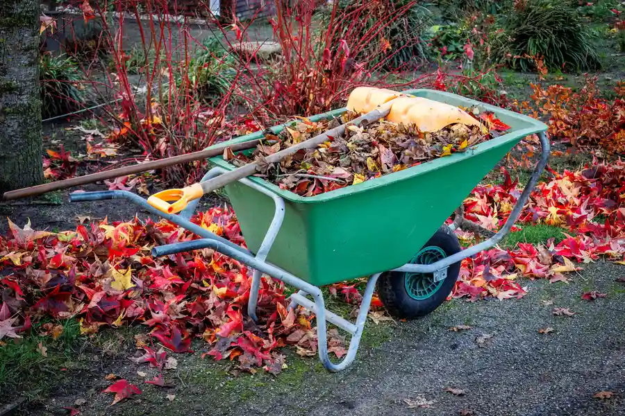 The Benefits Of Yard Trash Removal For Lawn Health Fairborn, OH The Benefits Of Yard Trash Removal For Lawn Health Fairborn, OH
