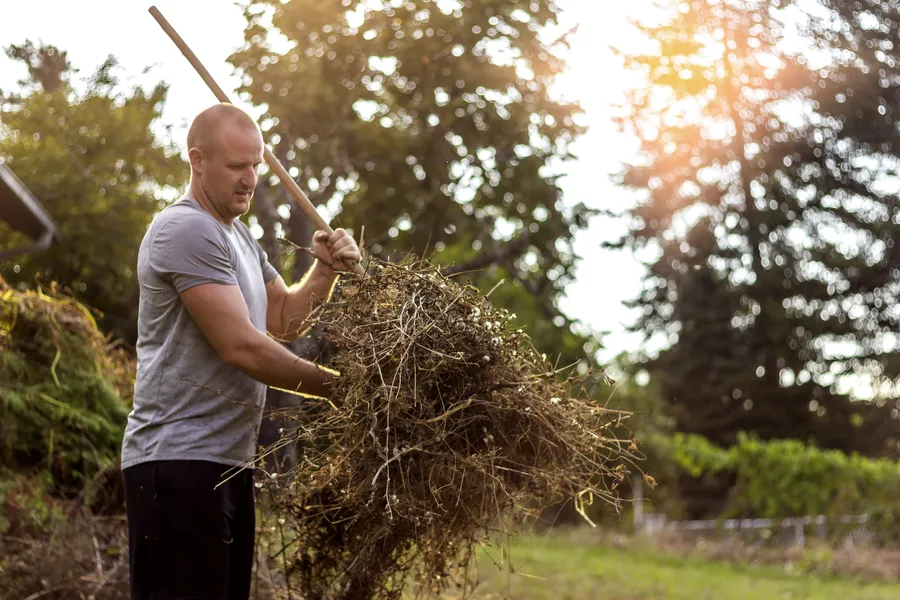 The Benefits Of Yard Trash Removal For Lawn Health in Fairborn, OH The Benefits Of Yard Trash Removal For Lawn Health in Fairborn, OH