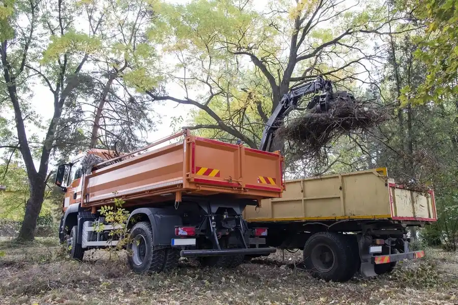 Why Hauling Services Are Useful For Yard Waste Removal Fairborn, OH Why Hauling Services Are Useful For Yard Waste Removal Fairborn, OH