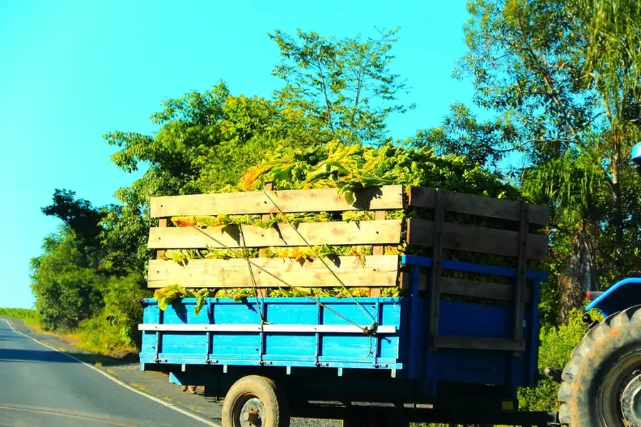 Why Hauling Services Are Useful For Yard Waste Removal in Fairborn, OH Why Hauling Services Are Useful For Yard Waste Removal in Fairborn, OH